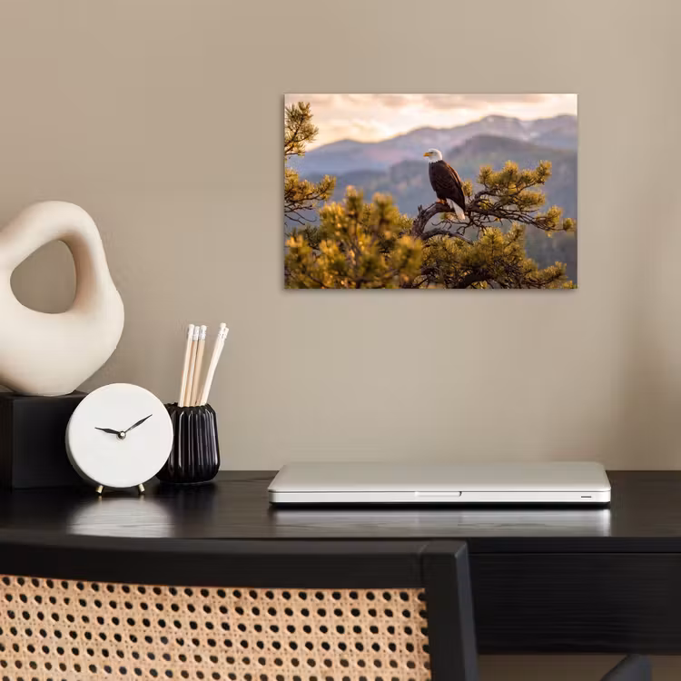 Poster - Zeearend - Boom - Bergen - Groen — 2