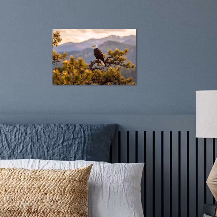 Poster - Zeearend - Boom - Bergen - Groen — 3