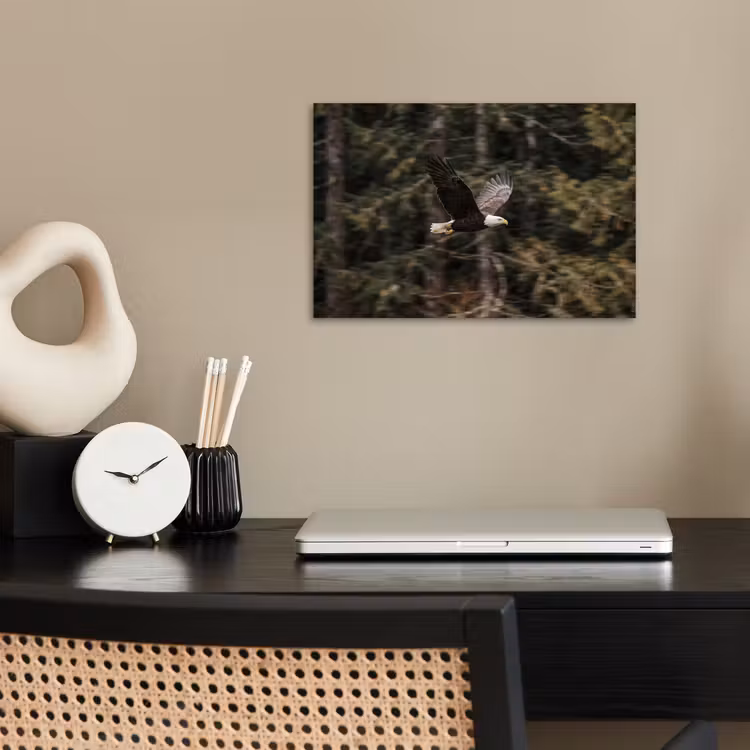 Poster - Zeearend - Vliegen - Bos - Natuur — 2