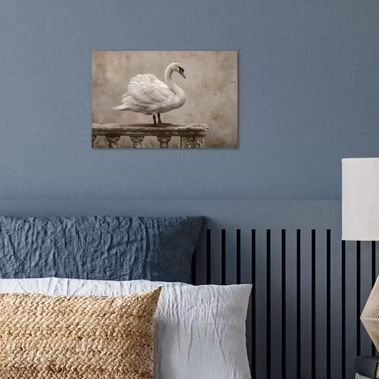 Poster - Zwaan - Elegant - Dieren - Wit — 3