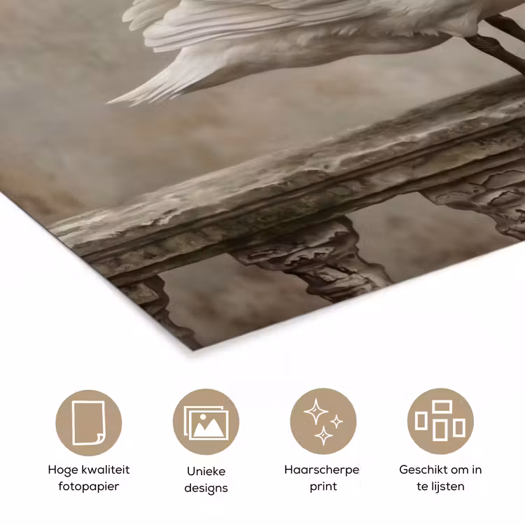 Poster - Zwaan - Elegant - Dieren - Wit — 5