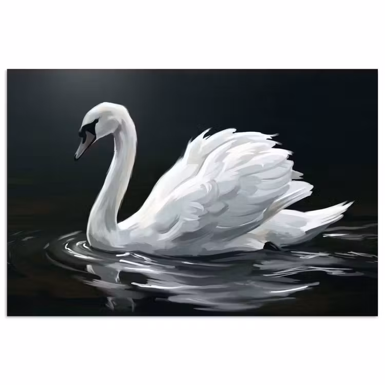 Poster - Zwaan - Water - Natuur - Realistisch - Wit — 1