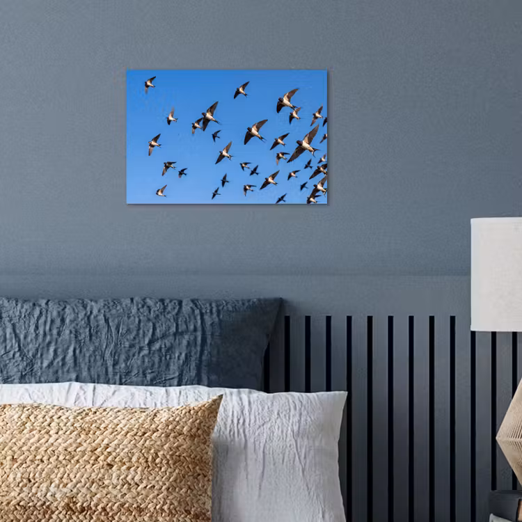 Poster - Zwaluwen - Vliegen - Blauw — 3