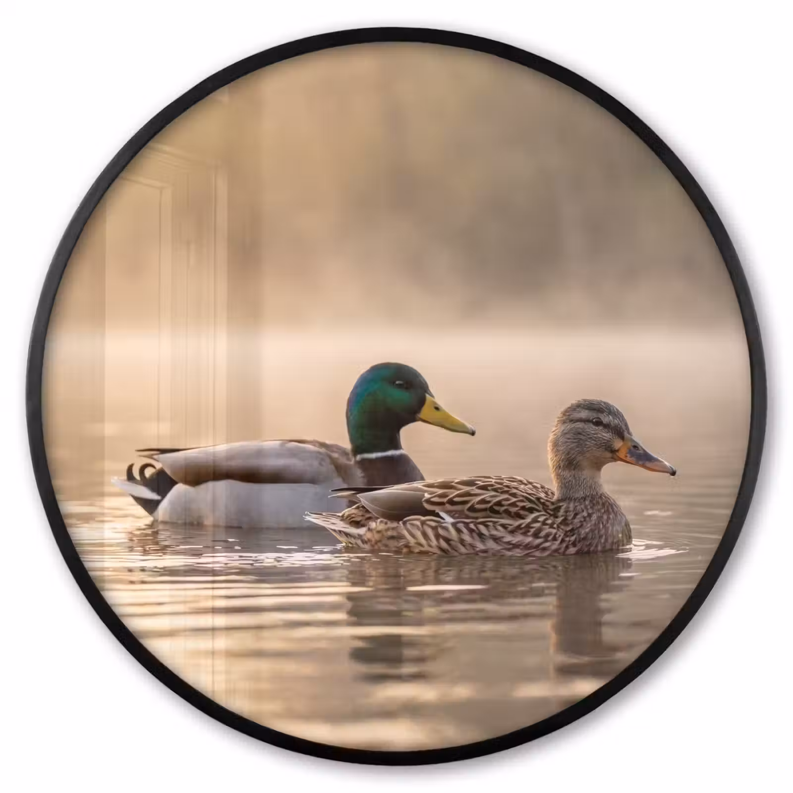 Ronde fotolijst - Eenden - Water - Mist - Natuur — 1