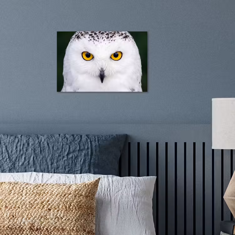 Poster - Sneeuwuil - Portret - Geel — 3