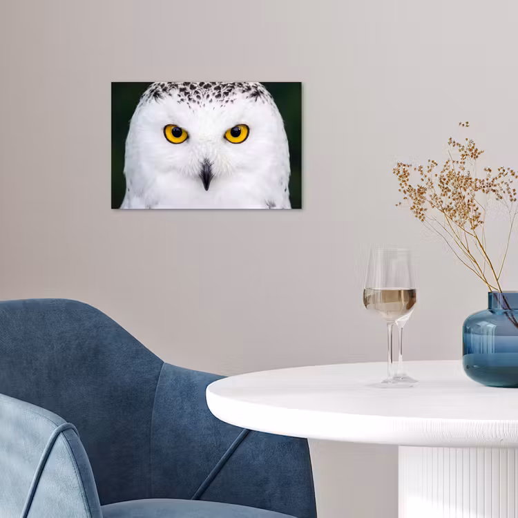 Poster - Sneeuwuil - Portret - Geel — 4