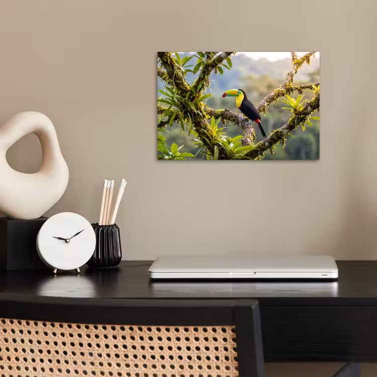 Poster - Toekan - Jungle - Natuur - Kleurrijk — 2