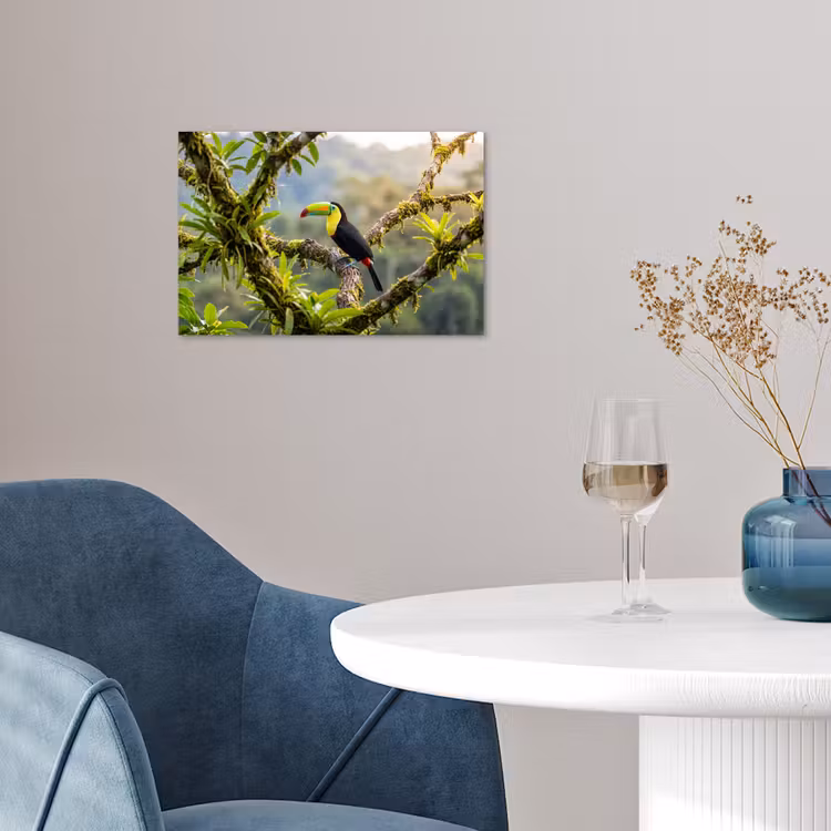 Poster - Toekan - Jungle - Natuur - Kleurrijk — 4