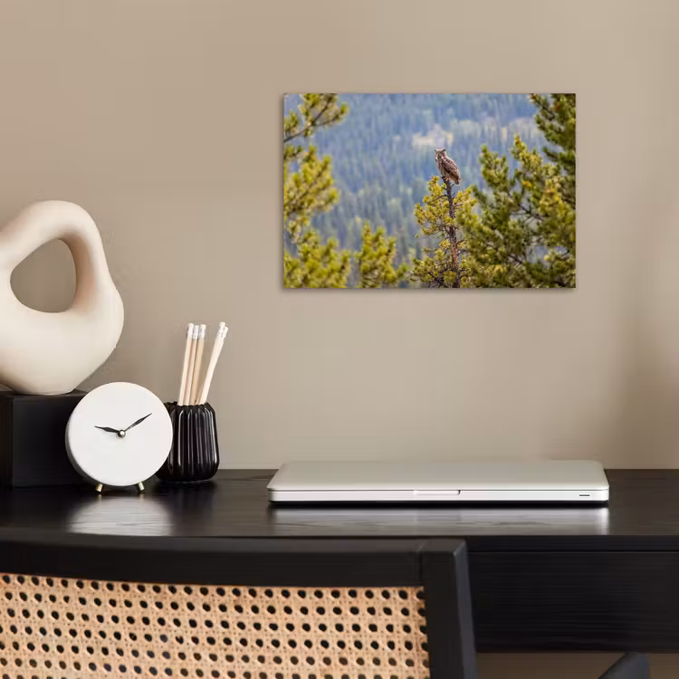 Poster - Uil - Oehoe - Bomen - Natuur — 2