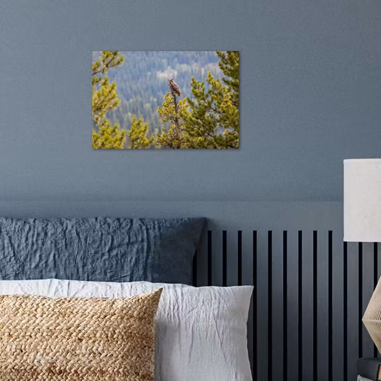 Poster - Uil - Oehoe - Bomen - Natuur — 3
