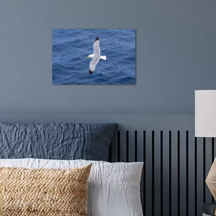 Poster - Zeemeeuw - Oceaan - Blauw — 3