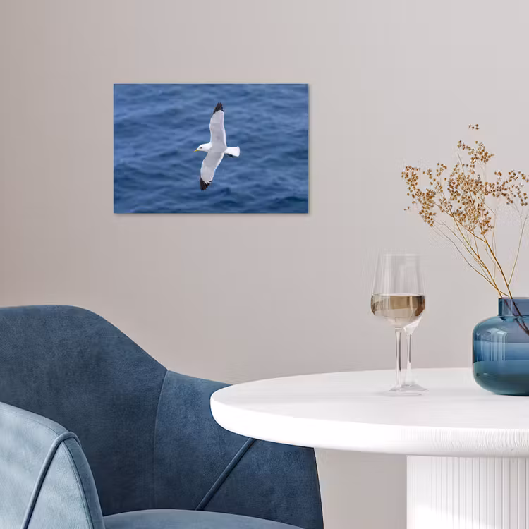 Poster - Zeemeeuw - Oceaan - Blauw — 4