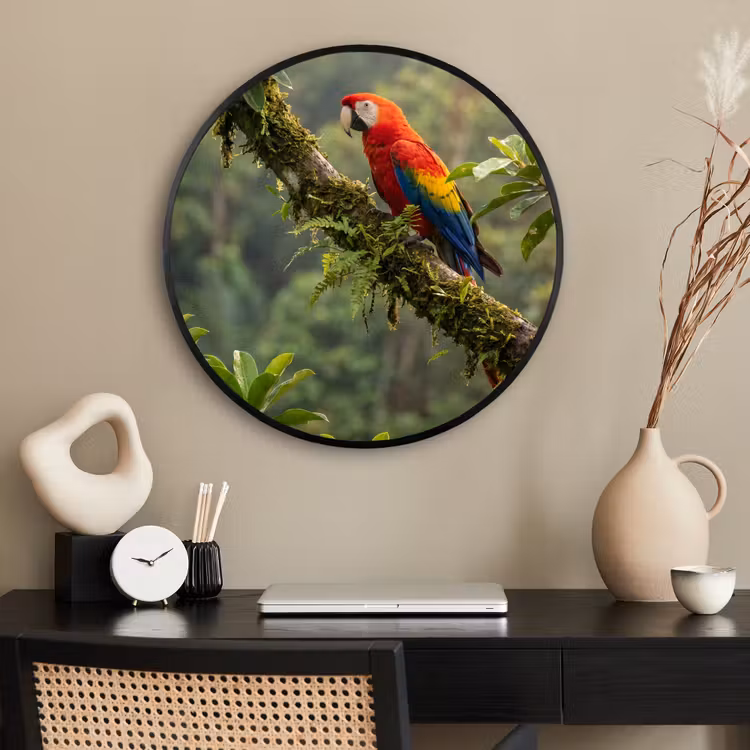 Ronde fotolijst - Ara - Jungle - Rood — 2