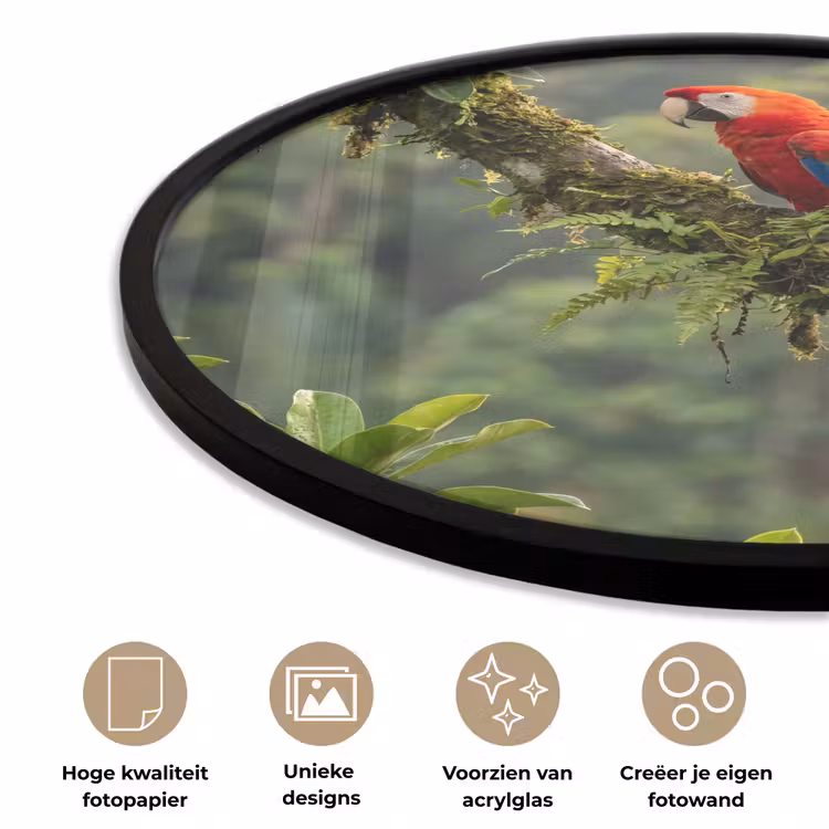 Ronde fotolijst - Ara - Jungle - Rood — 5
