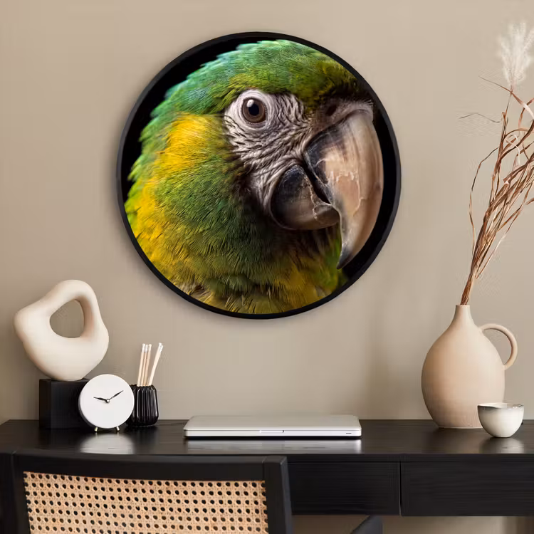 Ronde fotolijst - Ara - Portret - Groen — 2