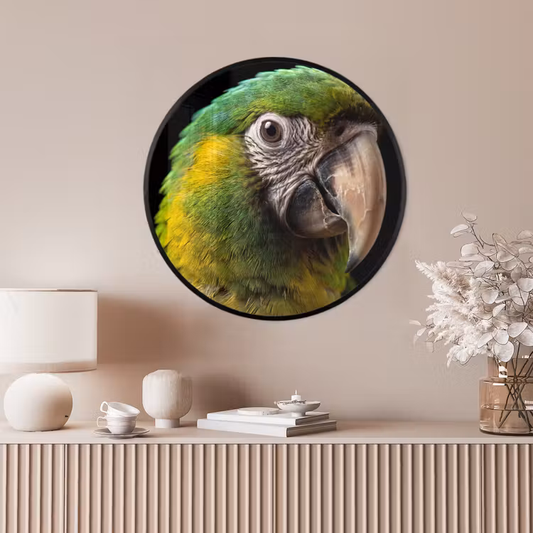 Ronde fotolijst - Ara - Portret - Groen — 4