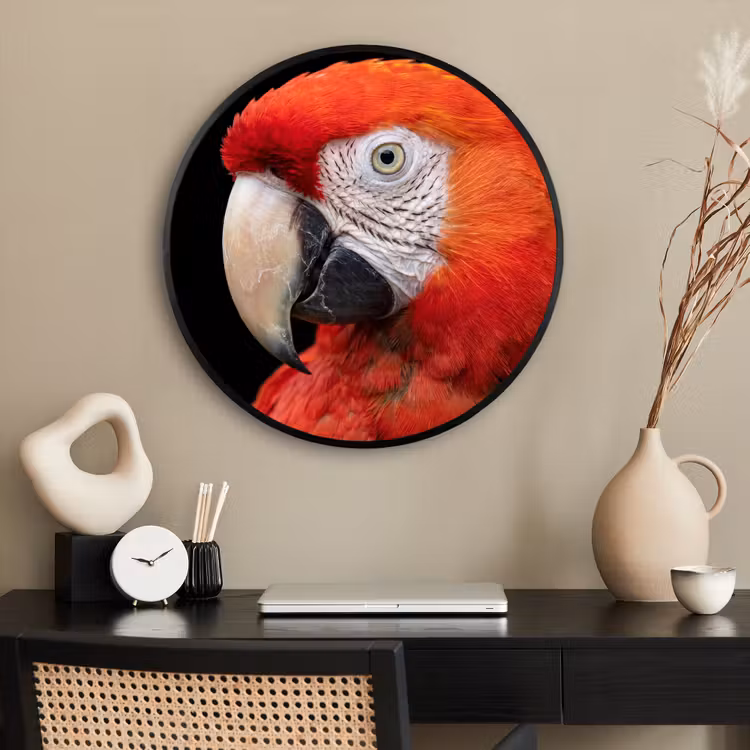 Ronde fotolijst - Ara - Portret - Rood — 2