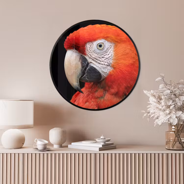 Ronde fotolijst - Ara - Portret - Rood — 4