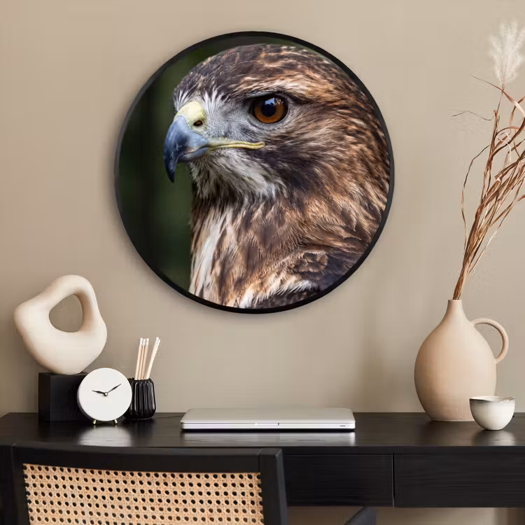 Ronde fotolijst - Buizerd - Roofvogel - Natuur - Bruin — 2