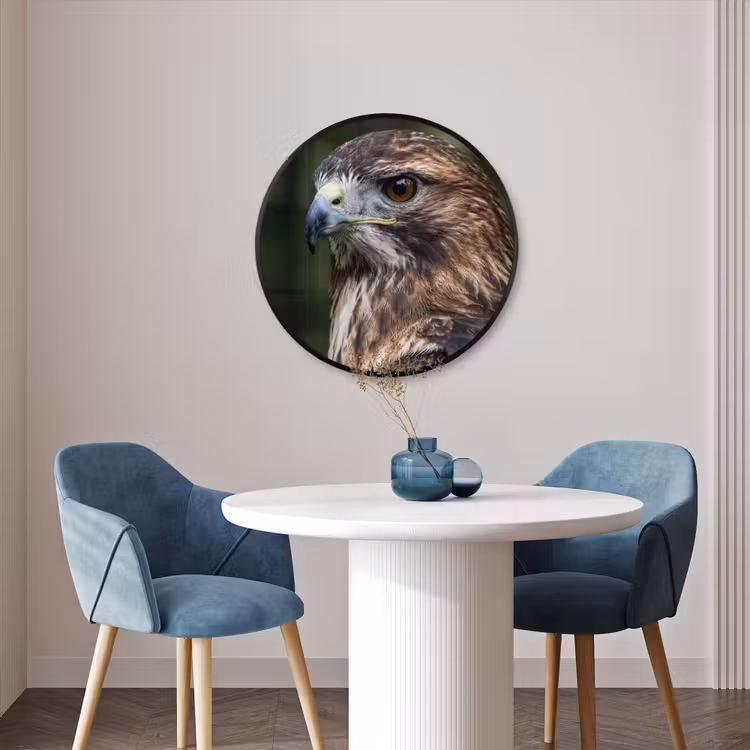 Ronde fotolijst - Buizerd - Roofvogel - Natuur - Bruin — 3