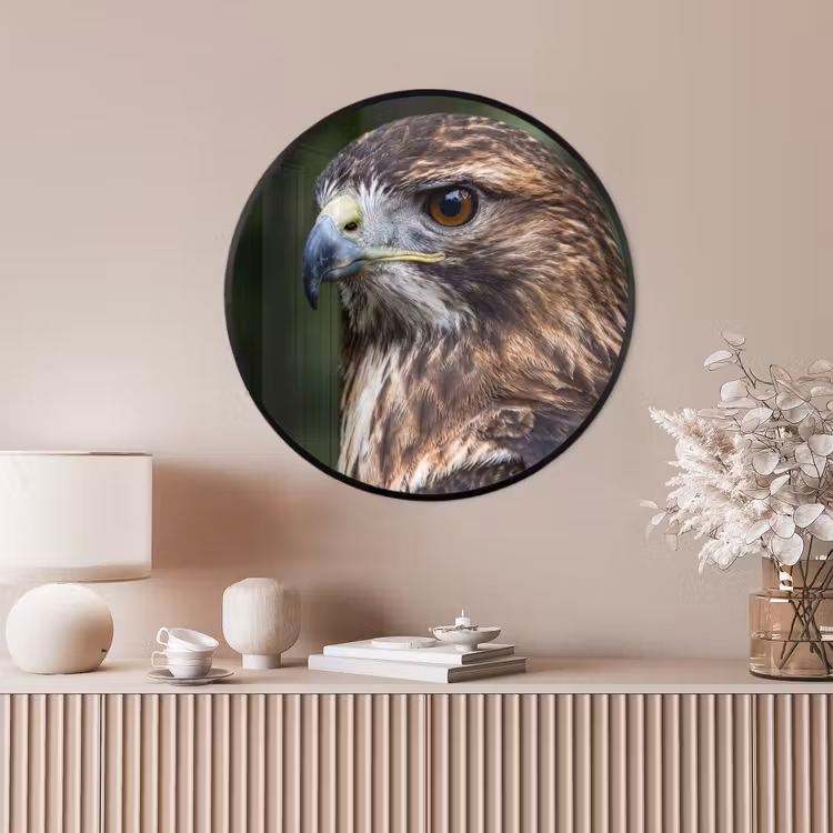 Ronde fotolijst - Buizerd - Roofvogel - Natuur - Bruin — 4