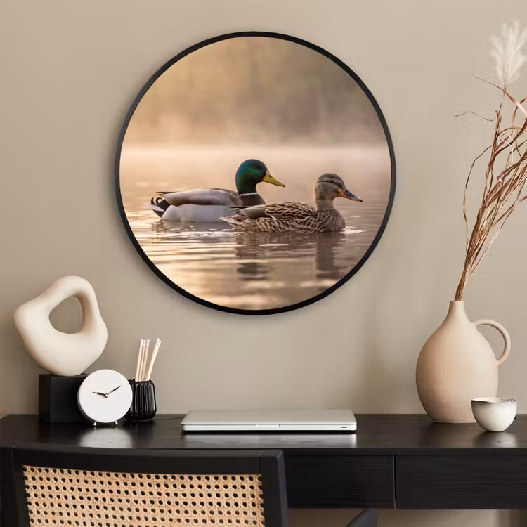 Ronde fotolijst - Eenden - Water - Mist - Natuur — 2
