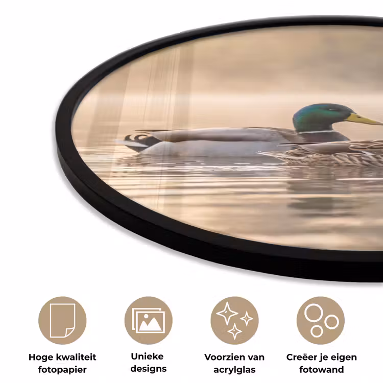 Ronde fotolijst - Eenden - Water - Mist - Natuur — 5