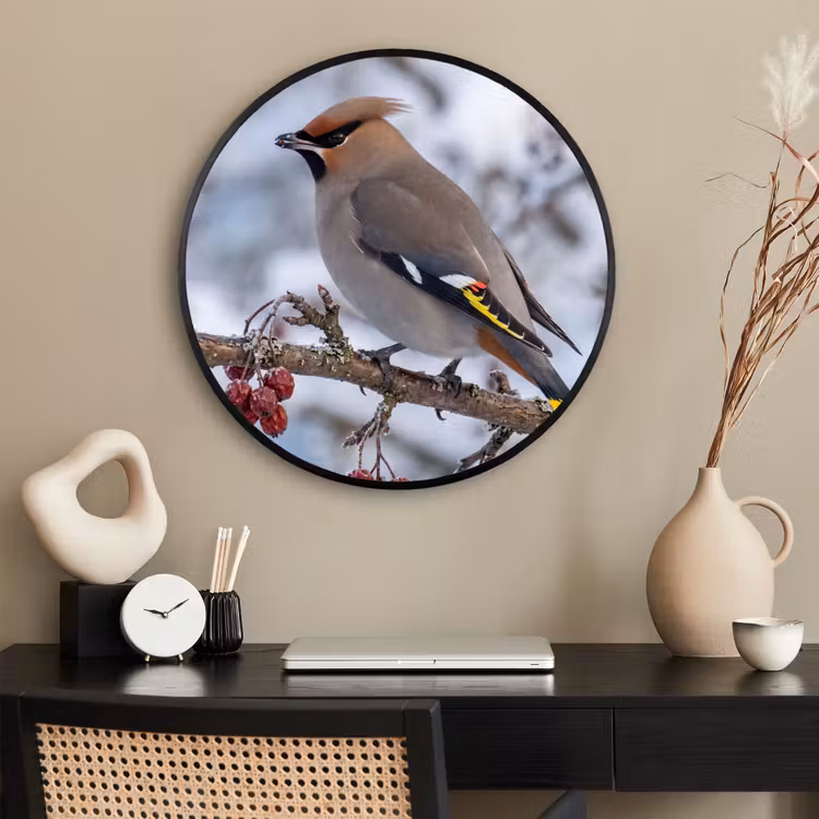 Ronde fotolijst - Pestvogel - Bessen - Winter - Natuur — 2