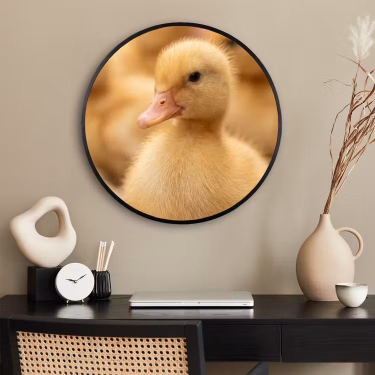 Ronde fotolijst - Pijltje - Eend - Natuur - Geel — 2