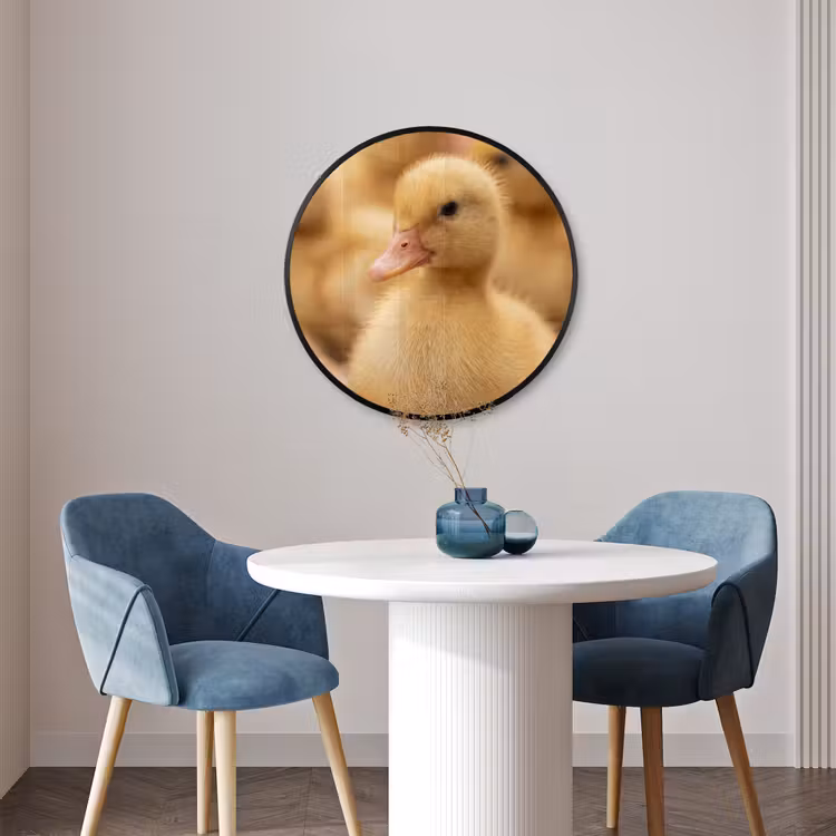 Ronde fotolijst - Pijltje - Eend - Natuur - Geel — 3