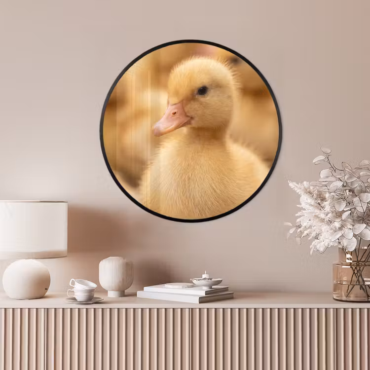Ronde fotolijst - Pijltje - Eend - Natuur - Geel — 4