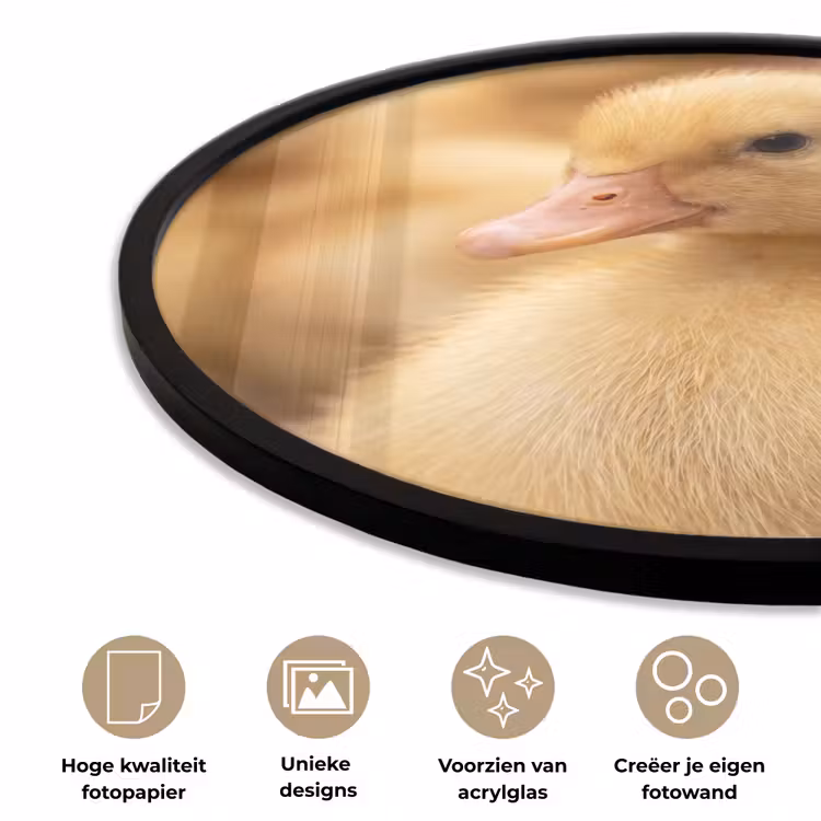 Ronde fotolijst - Pijltje - Eend - Natuur - Geel — 5