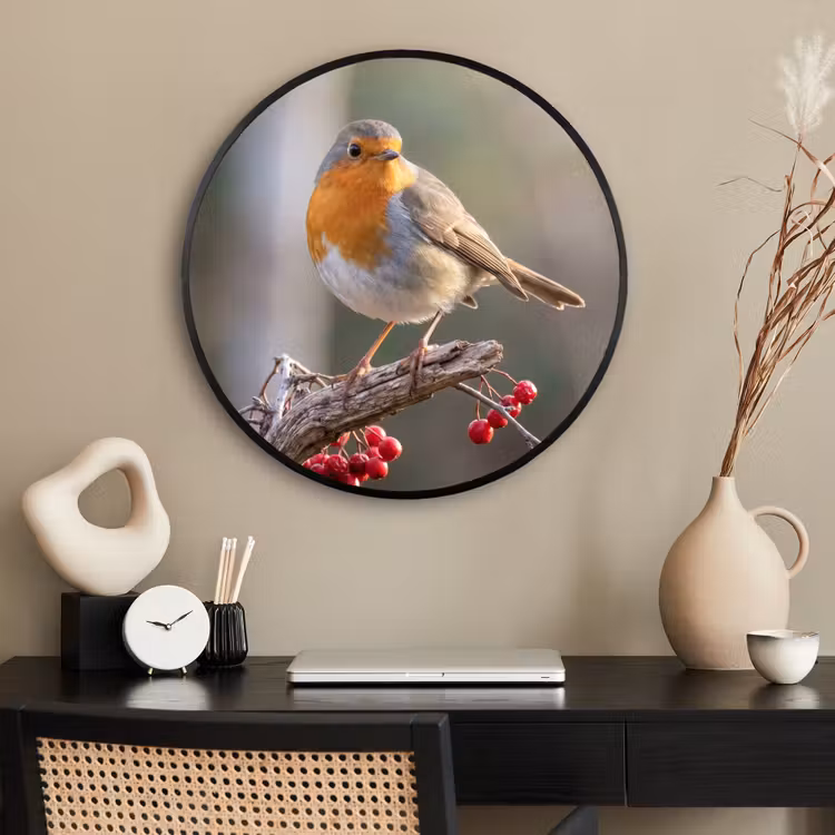 Ronde fotolijst - Roodborst - Tak - Bessen - Natuur — 2