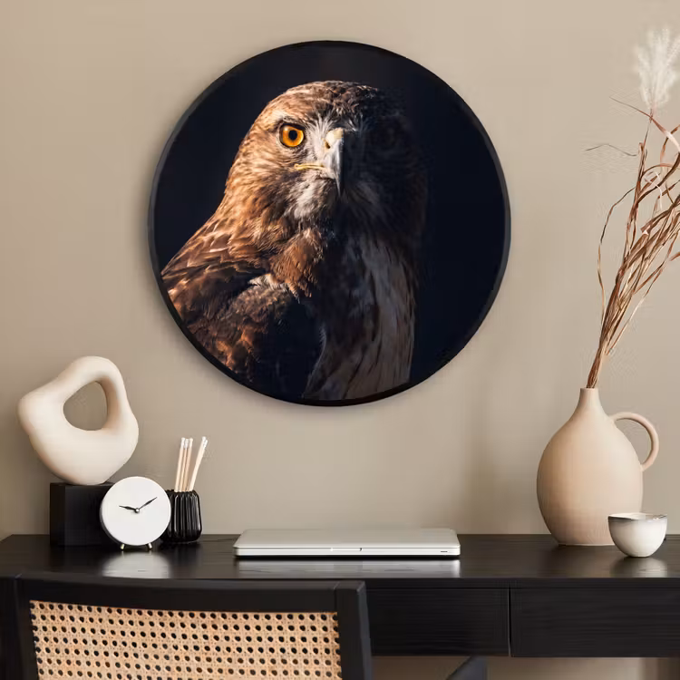 Ronde fotolijst - Roofvogel - Buizerd - Bruin — 2