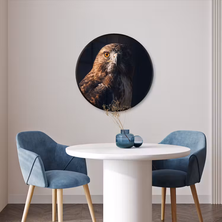 Ronde fotolijst - Roofvogel - Buizerd - Bruin — 3