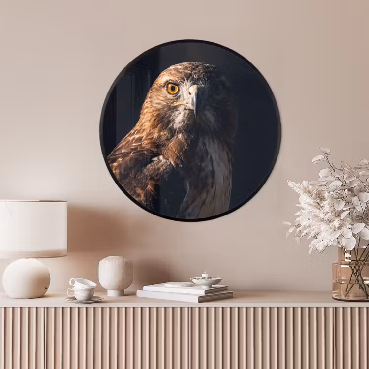 Ronde fotolijst - Roofvogel - Buizerd - Bruin — 4