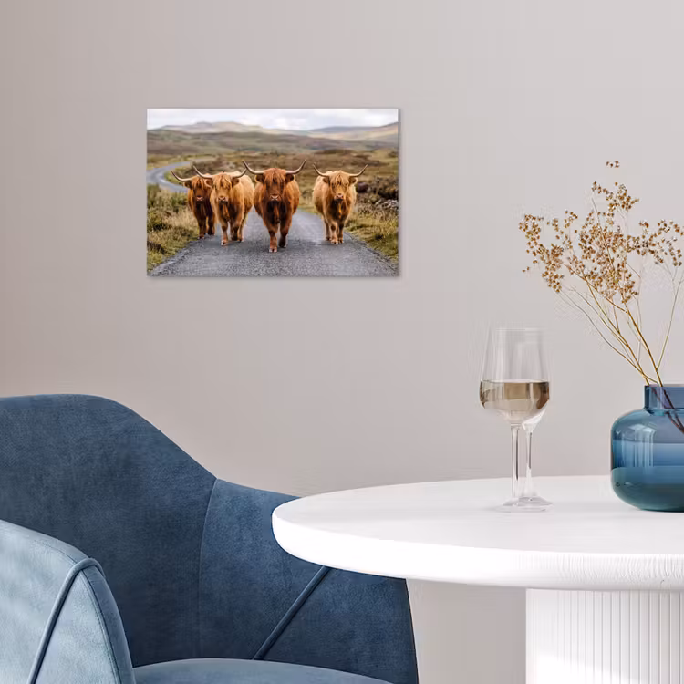 Poster - Schotse Hooglanders - Weg - Landschap - Kudde — 4