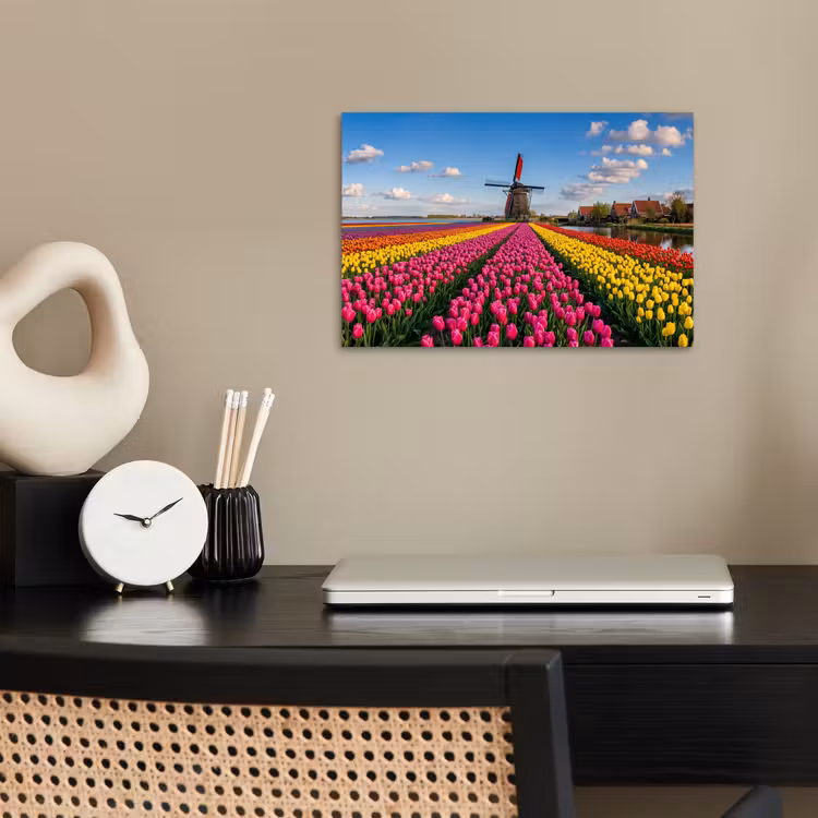Poster - Tulpen - Holland - Molen - Kleurrijk — 2