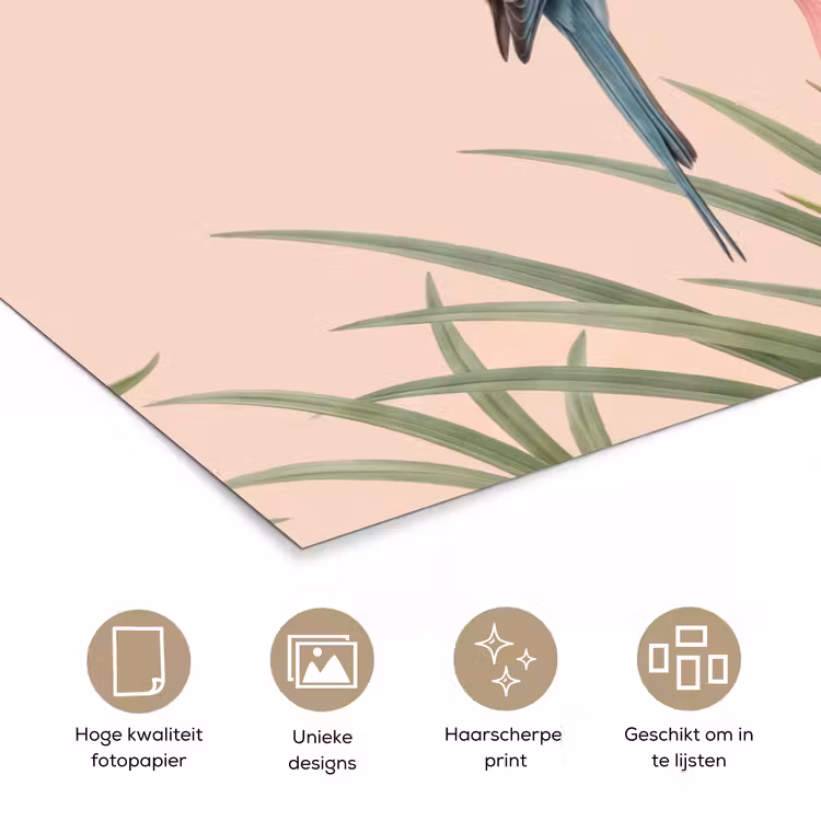 Poster - Vogel - Bloem - Natuur - Roze — 5
