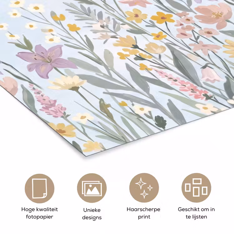 Poster - Weidebloemen - Illustratie - Kleurrijk — 5