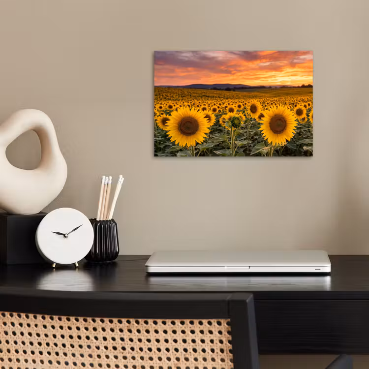 Poster - Zonnebloemen - Heuvellandschap - Geel — 2
