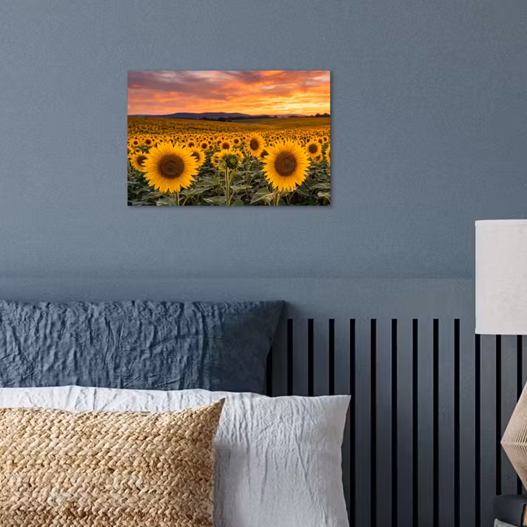 Poster - Zonnebloemen - Heuvellandschap - Geel — 3