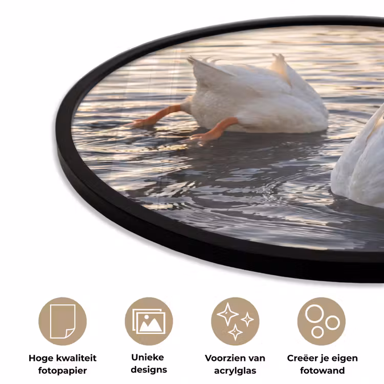 Ronde fotolijst - Eenden - Water - Natuur — 5