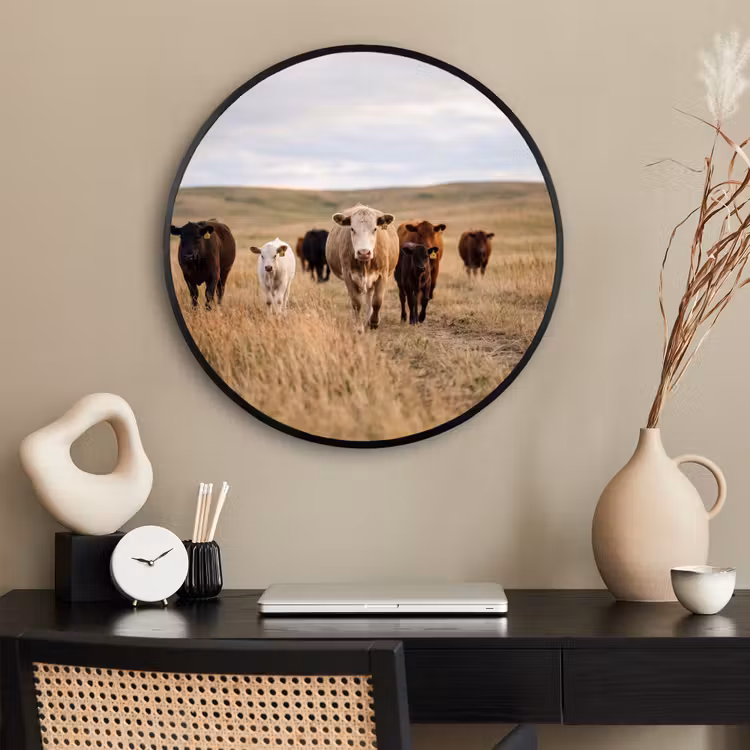 Ronde fotolijst - Runderen - Kudde - Landschap - Weide - Rustig — 2