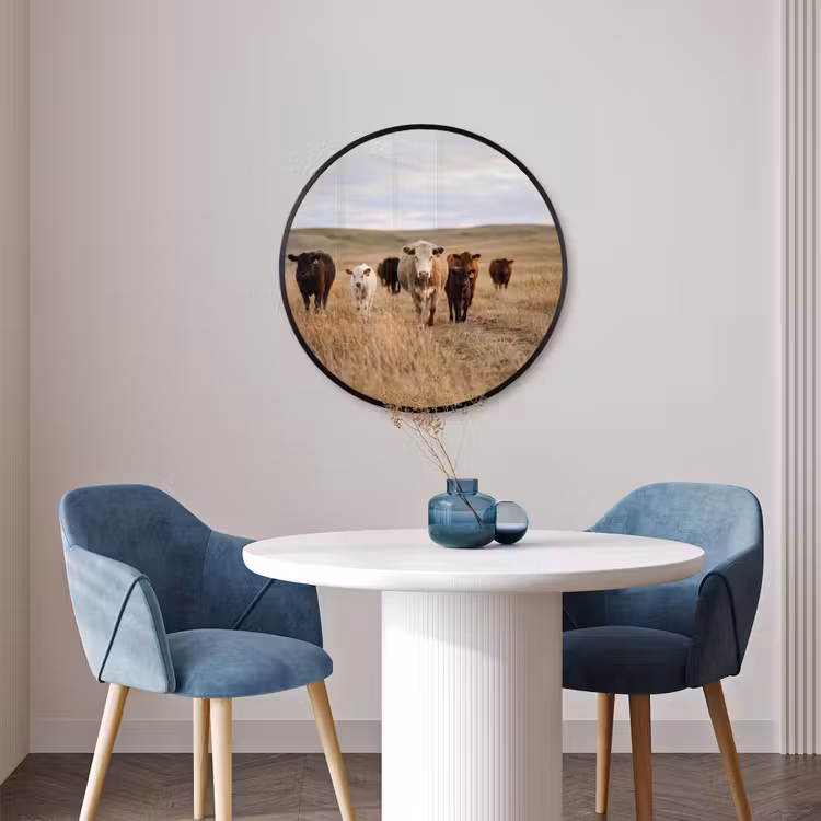 Ronde fotolijst - Runderen - Kudde - Landschap - Weide - Rustig — 3