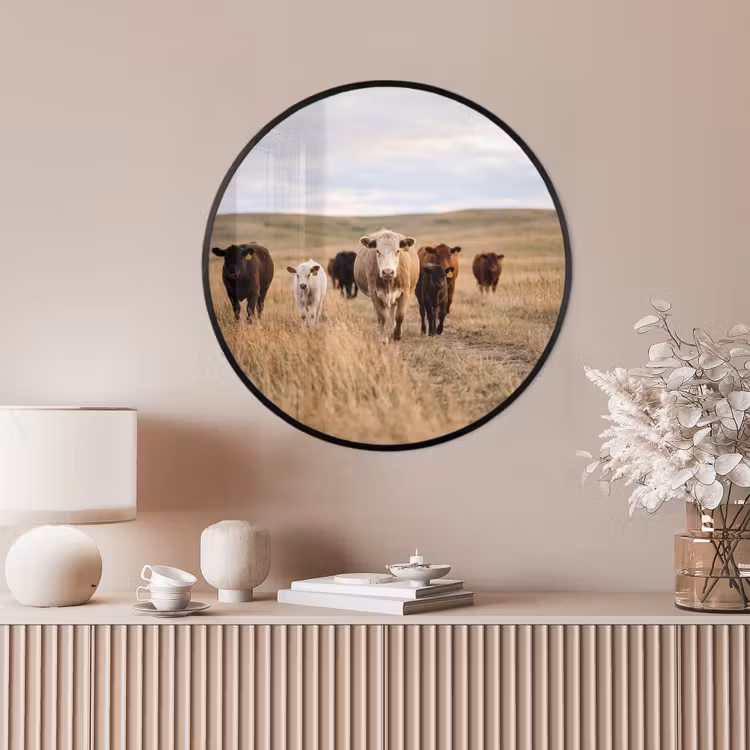 Ronde fotolijst - Runderen - Kudde - Landschap - Weide - Rustig — 4