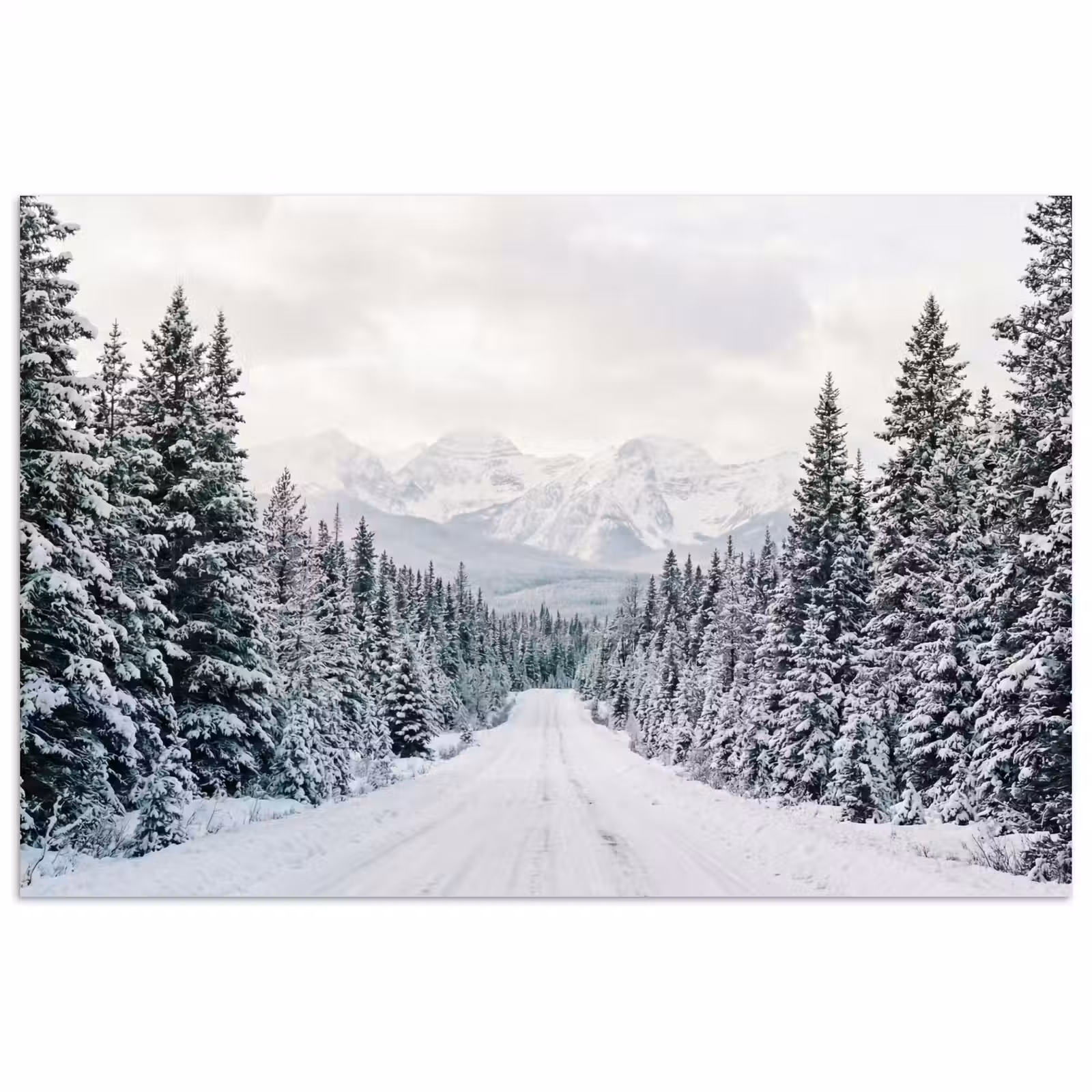 Poster - Weg - Sneeuw - Naaldbos - Winter - Avontuurlijk — 1