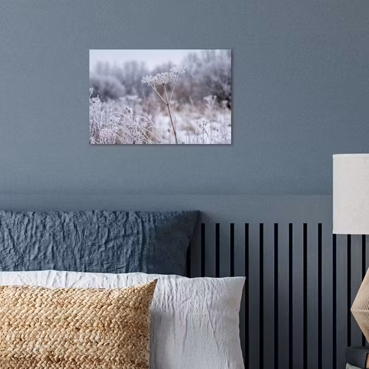 Poster - Schermbloem - Rijp - Kristallen - Winter - Delicaat — 3
