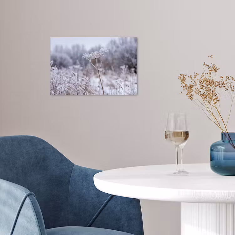 Poster - Schermbloem - Rijp - Kristallen - Winter - Delicaat — 4