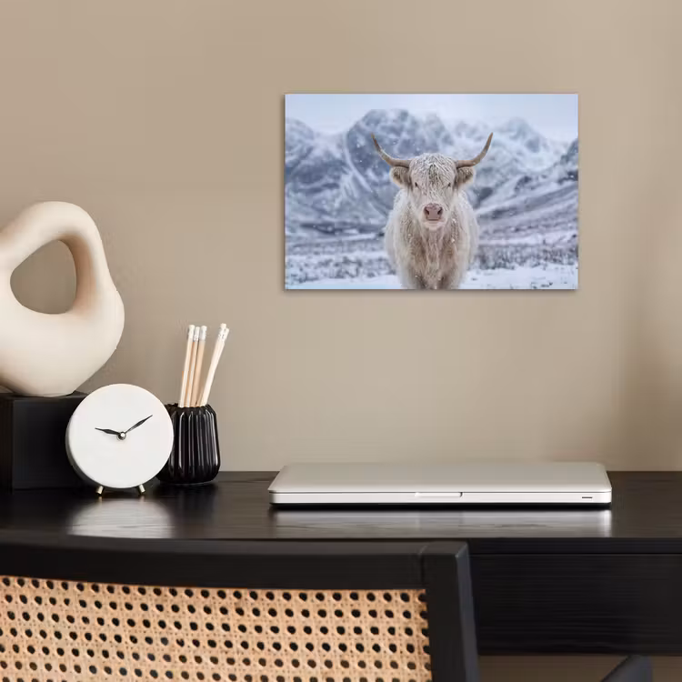 Poster - Schotse Hooglander - Sneeuw - Bergen - Winter — 2